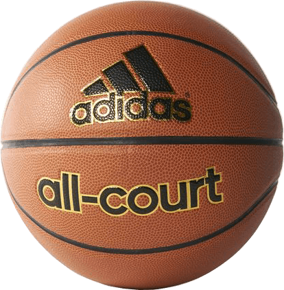 Picture of All-Court Basketball